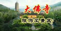 男人的j插进女人的p里视频古巴网中国浙江-新昌大佛寺旅游风景区